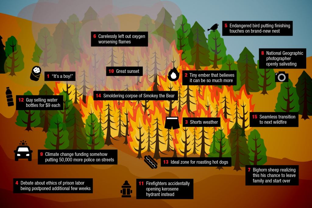 How Wildfires Work