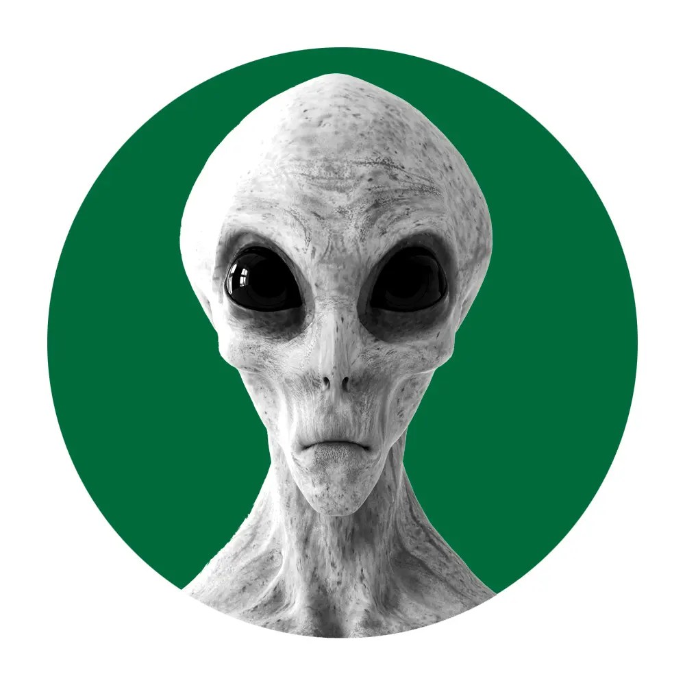 Take Me To Your Girlboss