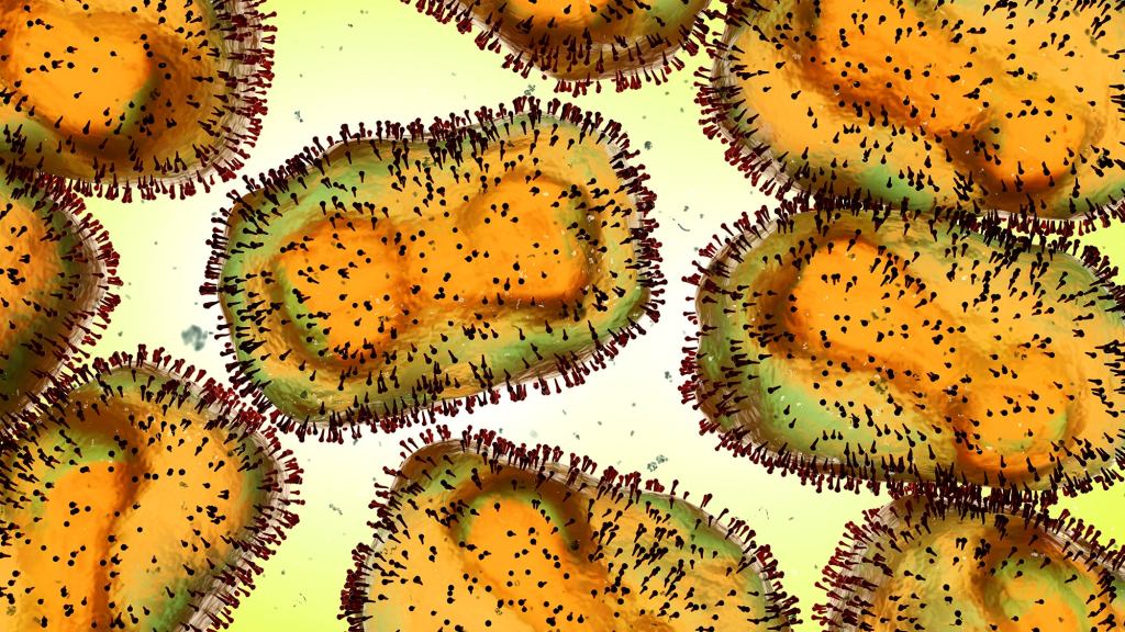 What To Know About Monkeypox