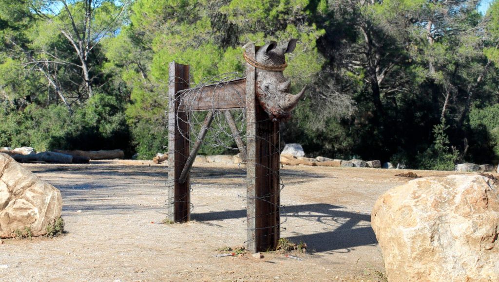 San Diego Zoo Unveils Severed Rhino Head Attached To Steel Frame As Part Of New Conceptual Wildlife Exhibit