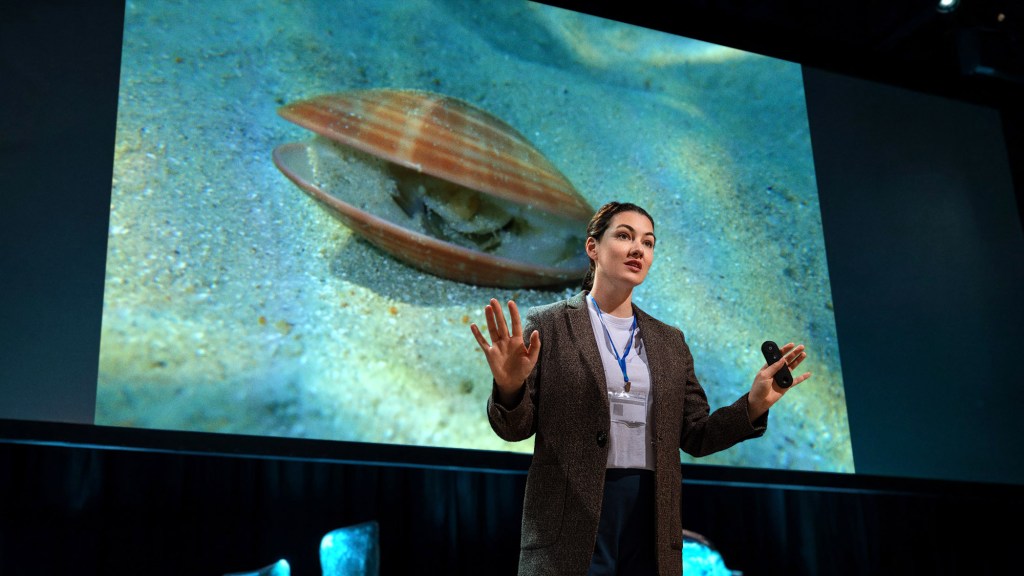 Biologists Announce There Absolutely Nothing We Can Learn From Clams