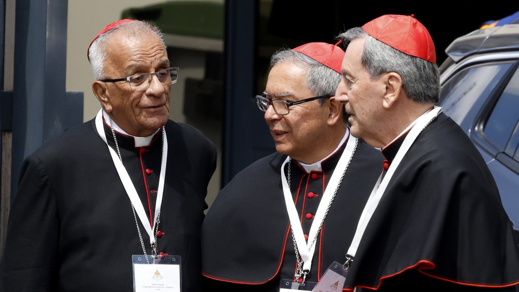 Catty Cardinal Can’t Wait To See Who Got Fat Since Last Conclave