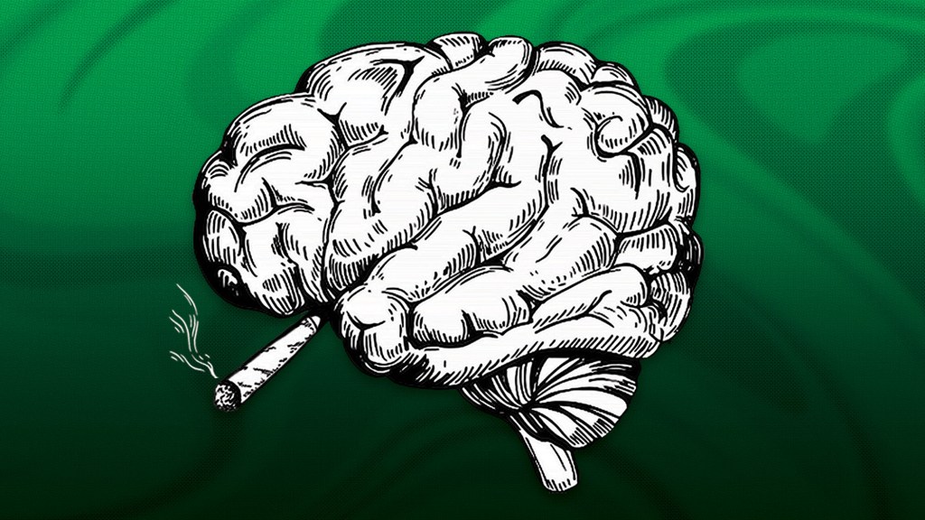 How Marijuana Affects The Brain