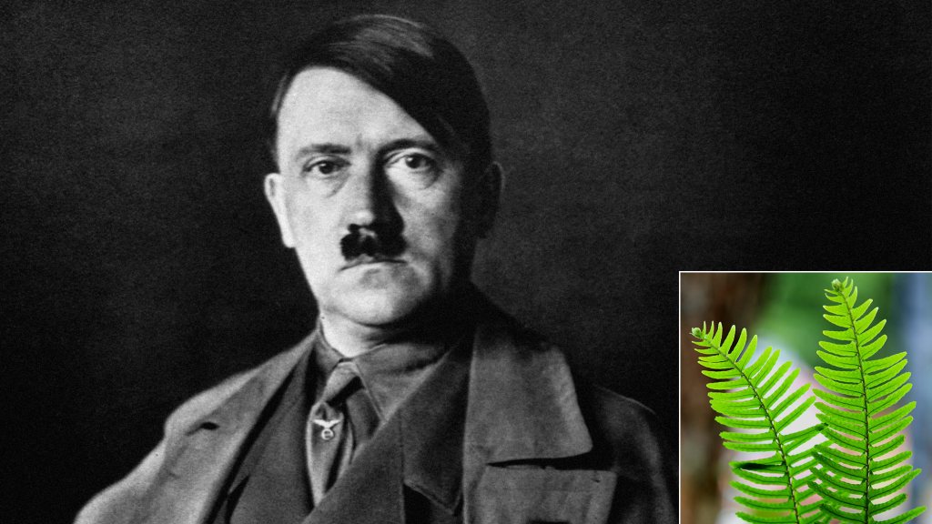 DNA Sequencing Reveals Hitler Was Type Of Fern