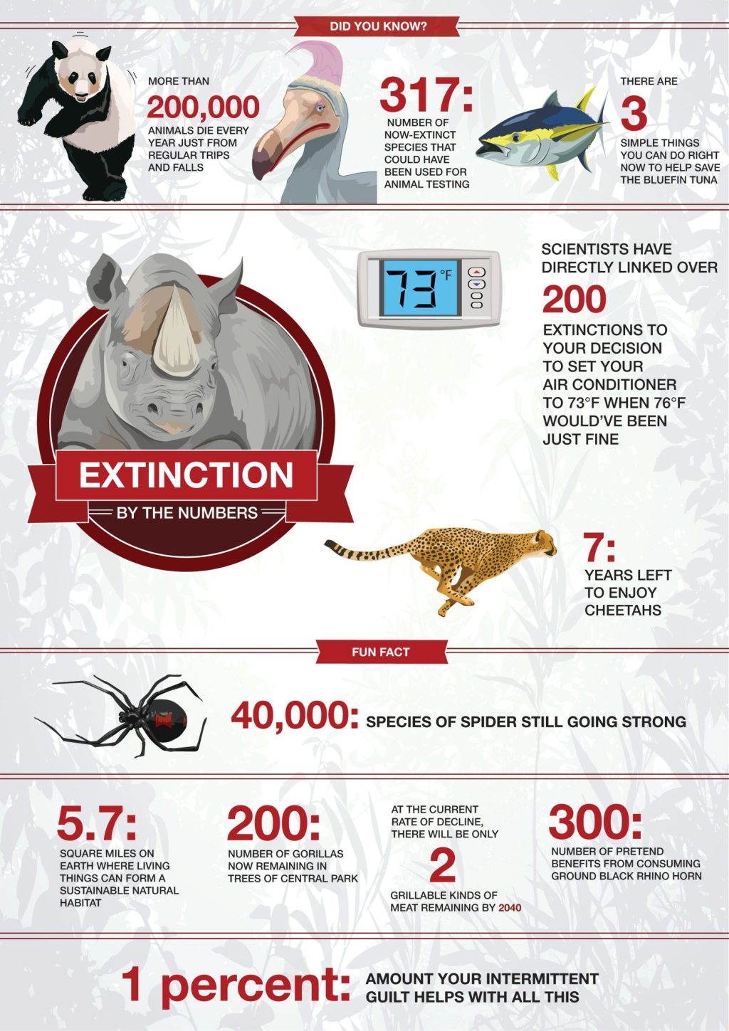 Extinction By The Numbers
