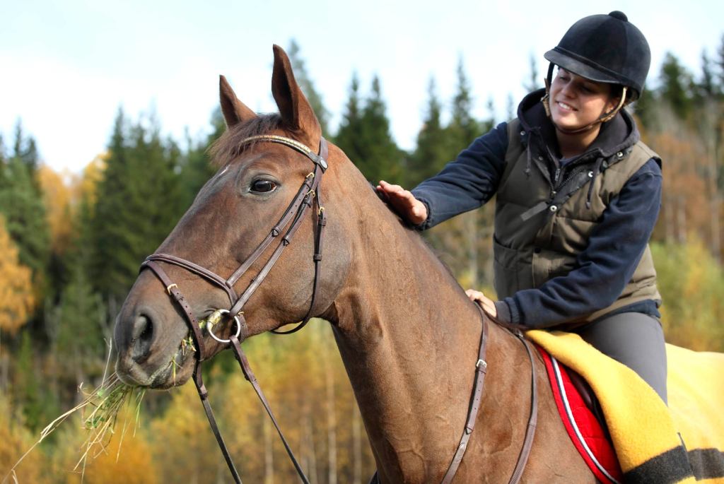 Equestrian Instinctively Feels Deep, Meaningless Connection With Horse