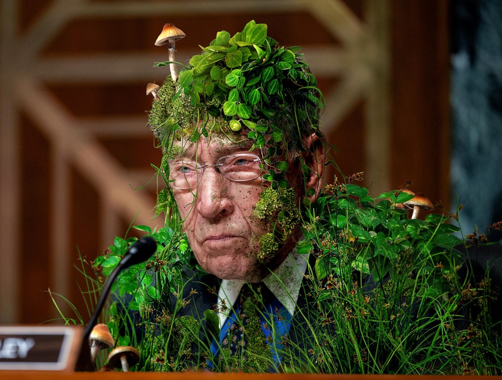 Nature Begins Reclaiming Chuck Grassley