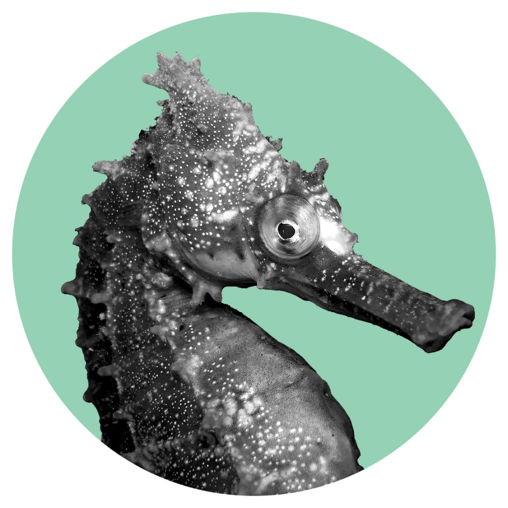 If Females Could Get Pregnant, There’d Be An Abortion Clinic On Every Coral