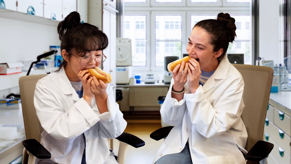 Study Finds Processed Meats Carcinogenic But They Were On Sale