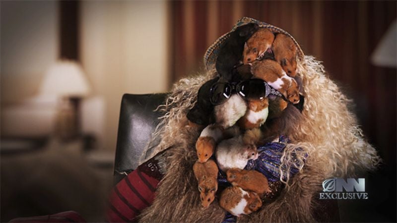 ONN Exclusive: Pop Star Janna Hayspice Confronts The Rumors That She Is Really Just A Writhing, Sentient Mass Of Voles