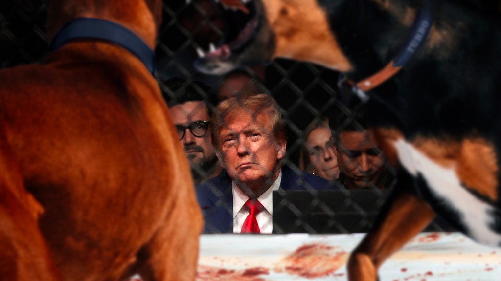 Trump Attends Dogfighting Match