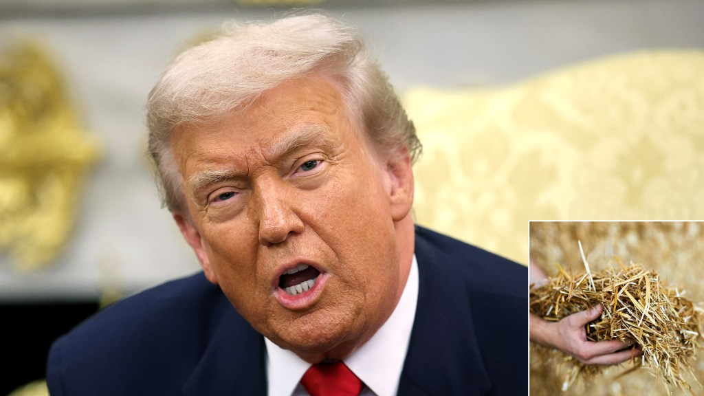 White House Touts Affordability Of Hay-Based Thanksgiving Dishes